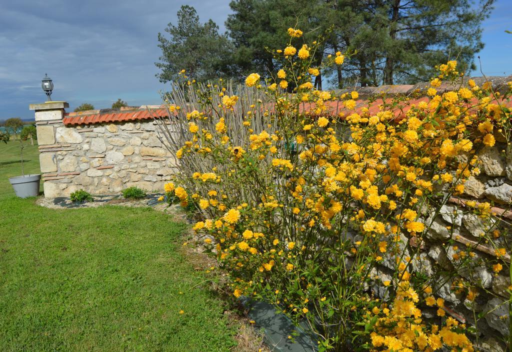 Le Coteau De Bazeille Sauna&Detente Sas Sainte-Bazeille Экстерьер фото